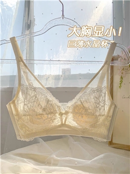 新款蕾丝聚拢性感透气大胸内衣女批发兔耳朵超薄文胸