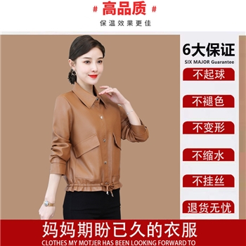 品牌时尚皮衣