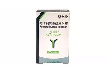 帕利珠单抗